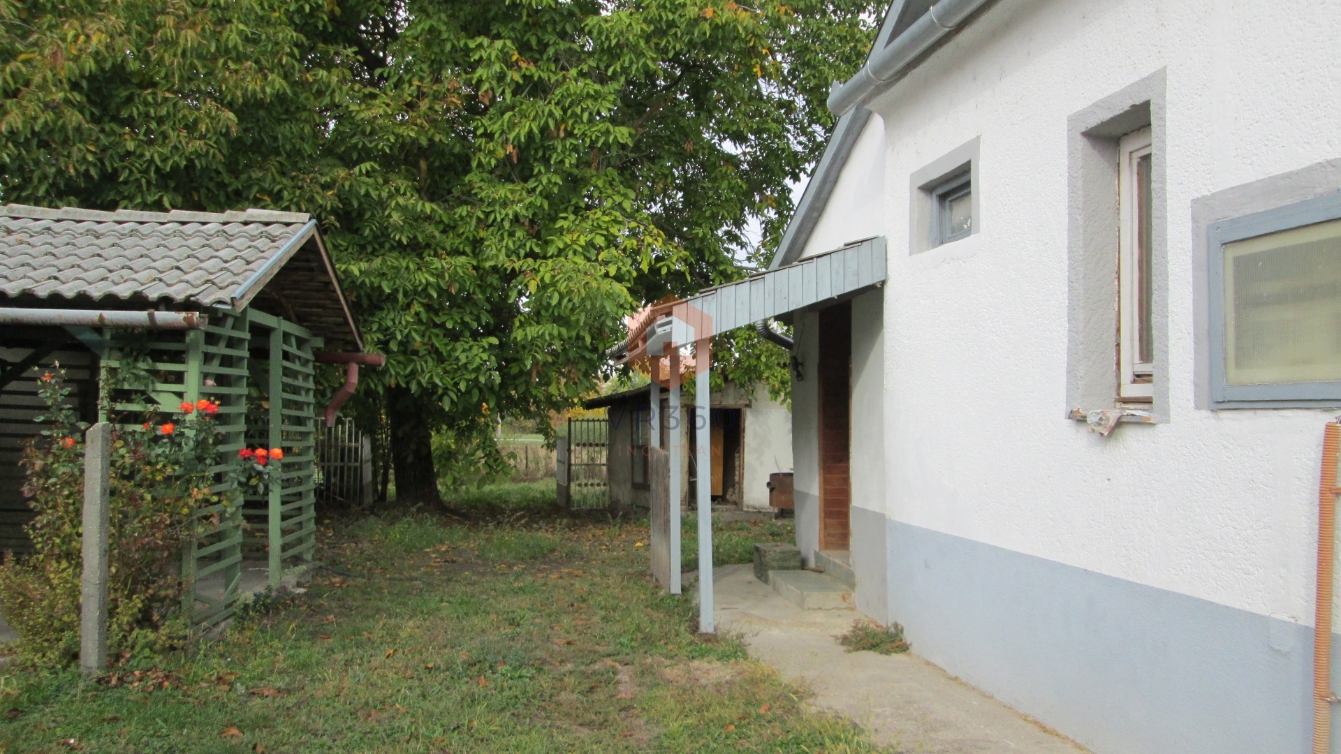Kép 3