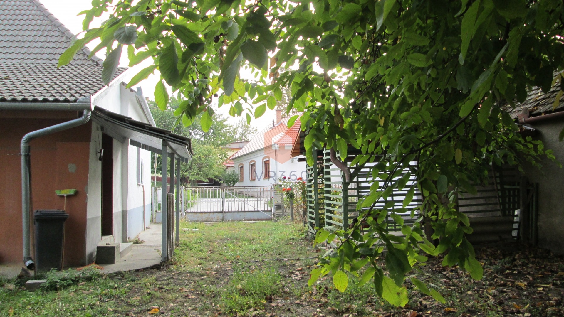 Kép 6